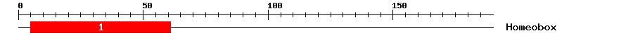 Signature Domain