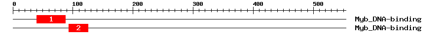 Signature Domain