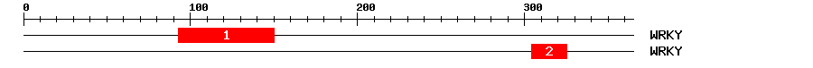 Signature Domain