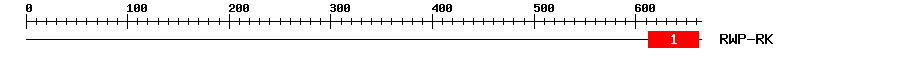 Signature Domain
