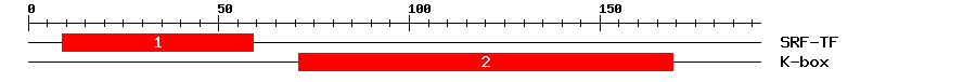 Signature Domain