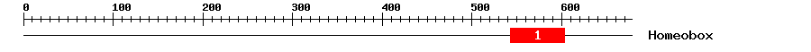 Signature Domain