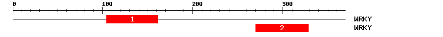 Signature Domain