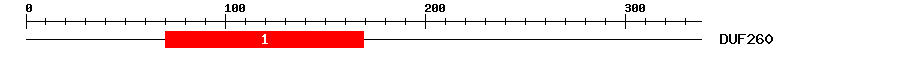 Signature Domain