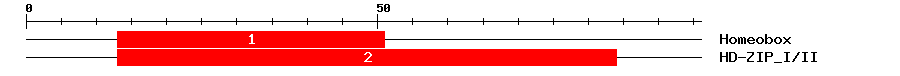 Signature Domain