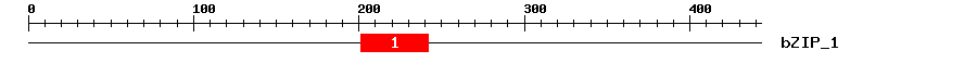 Signature Domain