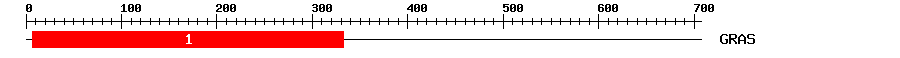 Signature Domain