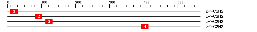 Signature Domain