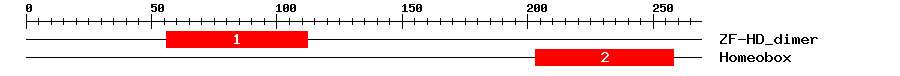 Signature Domain