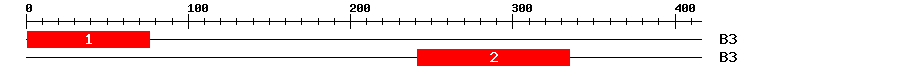 Signature Domain