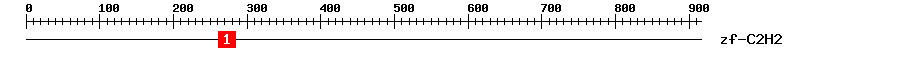 Signature Domain