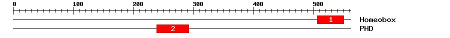 Signature Domain