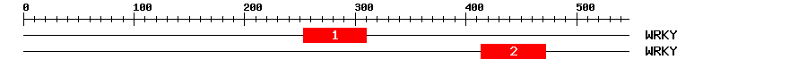 Signature Domain
