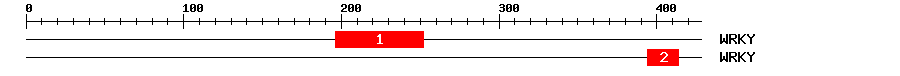 Signature Domain