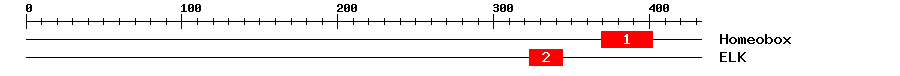 Signature Domain