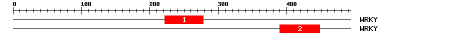 Signature Domain