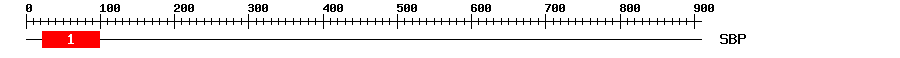 Signature Domain
