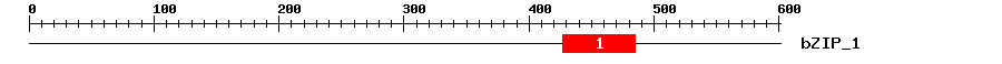 Signature Domain
