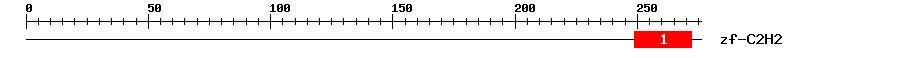 Signature Domain
