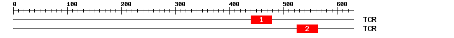 Signature Domain