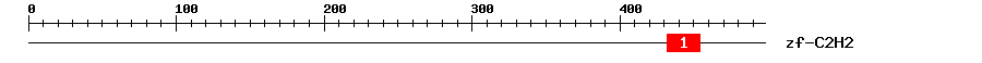 Signature Domain