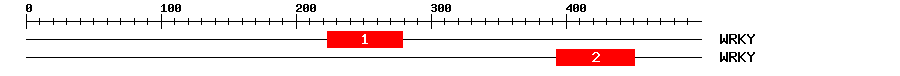 Signature Domain