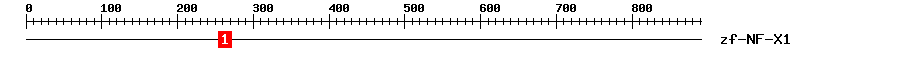 Signature Domain