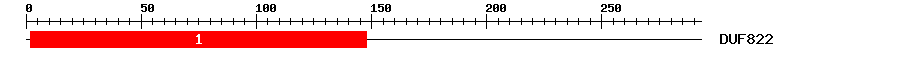 Signature Domain