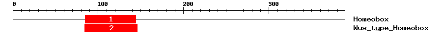 Signature Domain