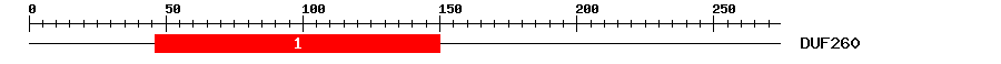 Signature Domain