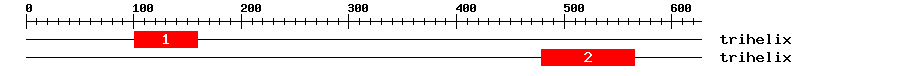 Signature Domain