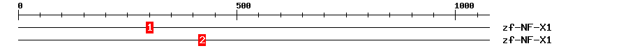 Signature Domain