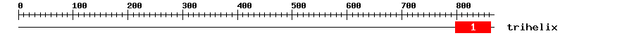 Signature Domain