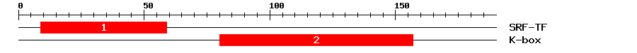 Signature Domain