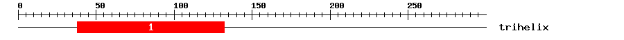 Signature Domain