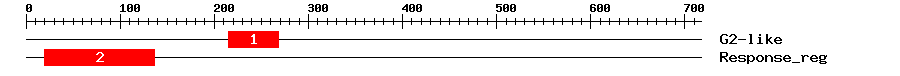 Signature Domain