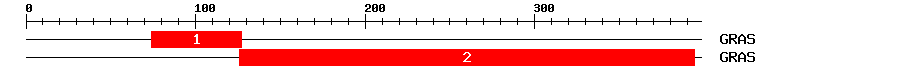 Signature Domain