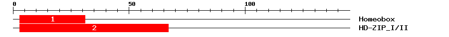 Signature Domain
