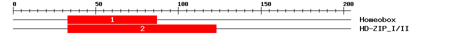 Signature Domain