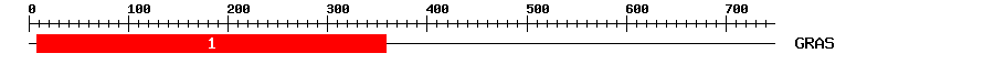 Signature Domain