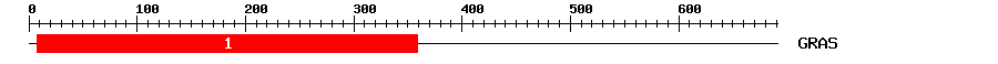 Signature Domain