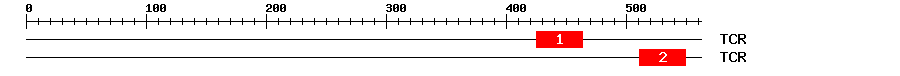 Signature Domain