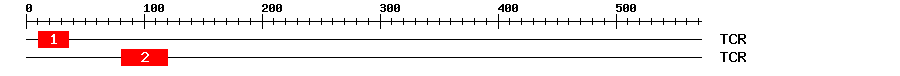 Signature Domain