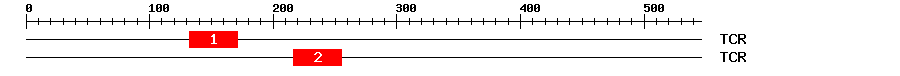 Signature Domain
