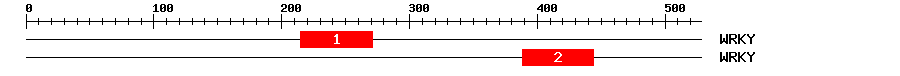 Signature Domain