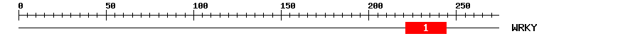 Signature Domain