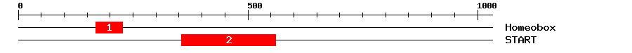 Signature Domain