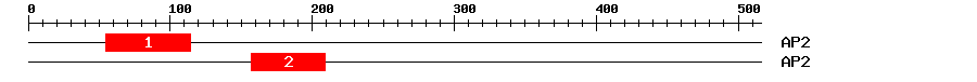 Signature Domain