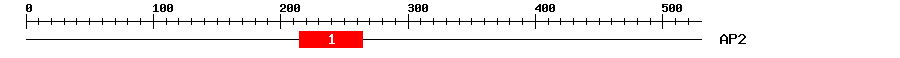Signature Domain