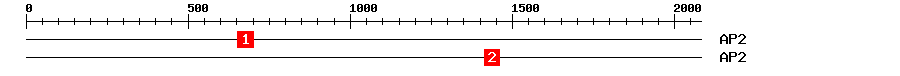 Signature Domain